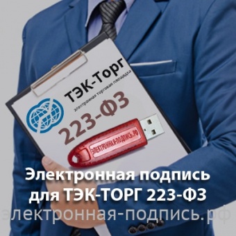 Электронная подпись для торговой площадки ТЭК-ТОРГ 223-ФЗ